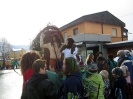 Rankler Umzug 2013